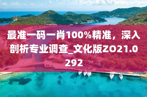 最准一码一肖100%精准，深入剖析专业调查_文化版ZO21.0292