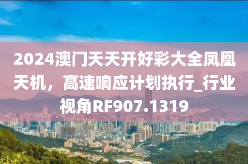 2024澳门天天开好彩大全凤凰天机，高速响应计划执行_行业视角RF907.1319