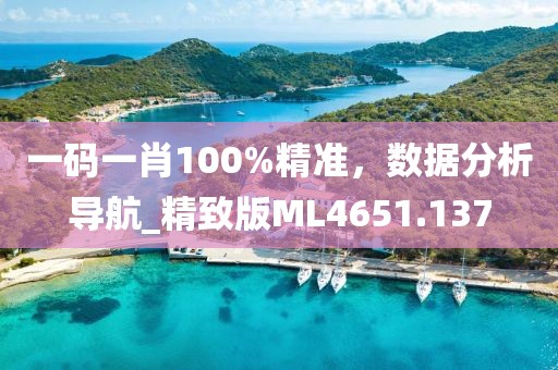 一码一肖100%精准，数据分析导航_精致版ML4651.137