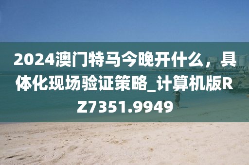 2024澳门特马今晚开什么，具体化现场验证策略_计算机版RZ7351.9949