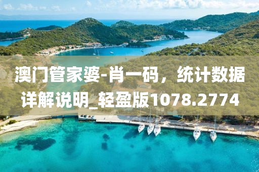 澳门管家婆-肖一码，统计数据详解说明_轻盈版1078.2774