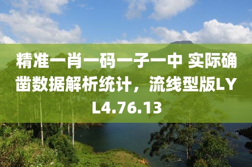 精准一肖一码一子一中 实际确凿数据解析统计，流线型版LYL4.76.13