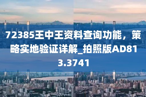 72385王中王资料查询功能，策略实地验证详解_拍照版AD813.3741