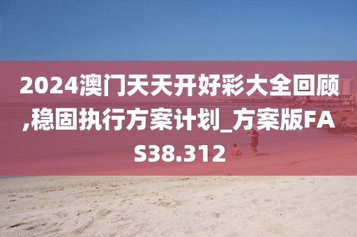 2024澳门天天开好彩大全回顾,稳固执行方案计划_方案版FAS38.312