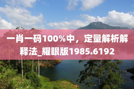 一肖一码100%中，定量解析解释法_耀眼版1985.6192