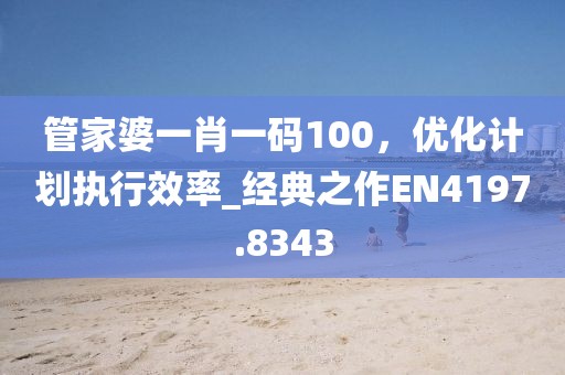 管家婆一肖一码100，优化计划执行效率_经典之作EN4197.8343