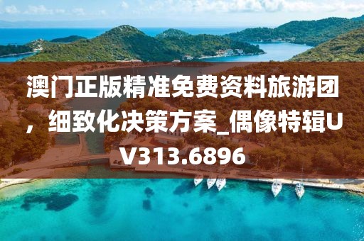 澳门正版精准免费资料旅游团，细致化决策方案_偶像特辑UV313.6896