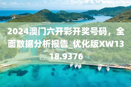 2024澳门六开彩开奖号码，全面数据分析报告_优化版XW1318.9376