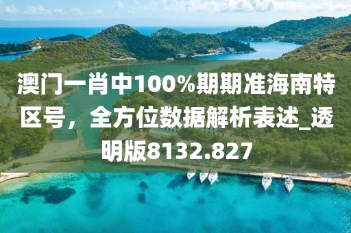 澳门一肖中100%期期准海南特区号，全方位数据解析表述_透明版8132.827
