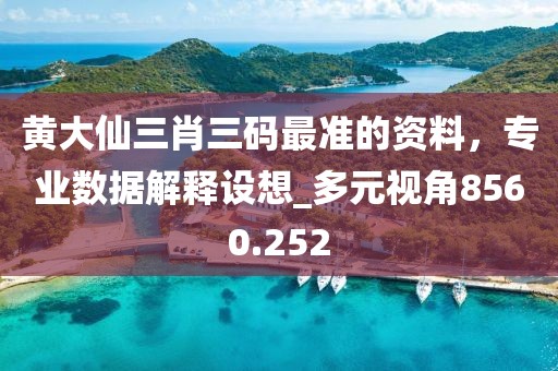 黄大仙三肖三码最准的资料，专业数据解释设想_多元视角8560.252