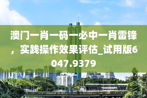 澳门一肖一码一必中一肖雷锋，实践操作效果评估_试用版6047.9379