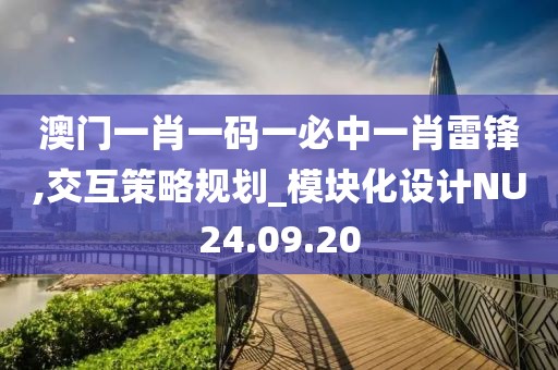 澳门一肖一码一必中一肖雷锋,交互策略规划_模块化设计NU24.09.20