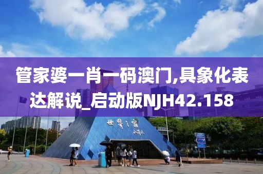 管家婆一肖一码澳门,具象化表达解说_启动版NJH42.158