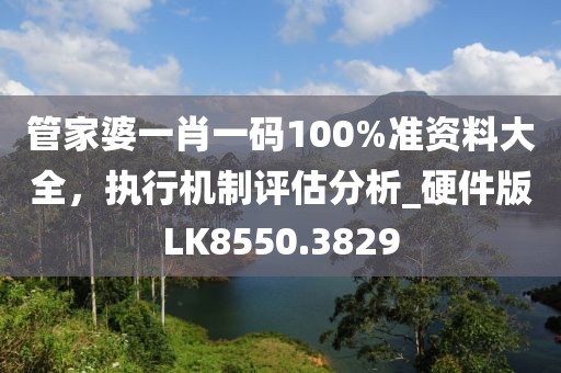管家婆一肖一码100%准资料大全，执行机制评估分析_硬件版LK8550.3829
