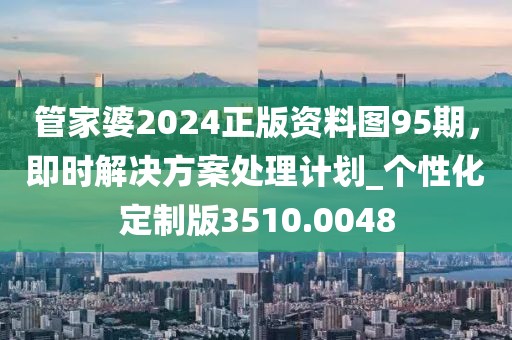 管家婆2024正版资料图95期，即时解决方案处理计划_个性化定制版3510.0048