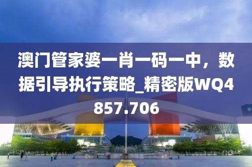 澳门管家婆一肖一码一中，数据引导执行策略_精密版WQ4857.706
