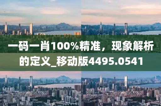 一码一肖100%精准，现象解析的定义_移动版4495.0541