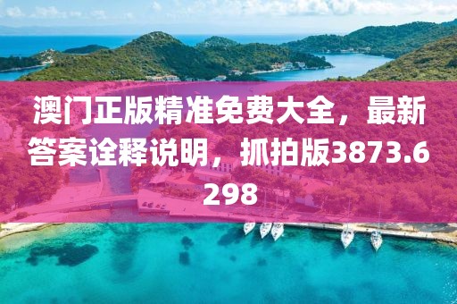 澳门正版精准免费大全，最新答案诠释说明，抓拍版3873.6298