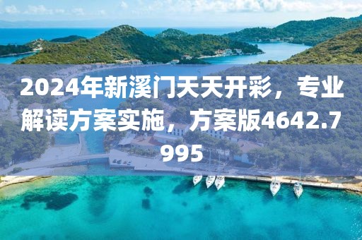2024年新溪门天天开彩，专业解读方案实施，方案版4642.7995