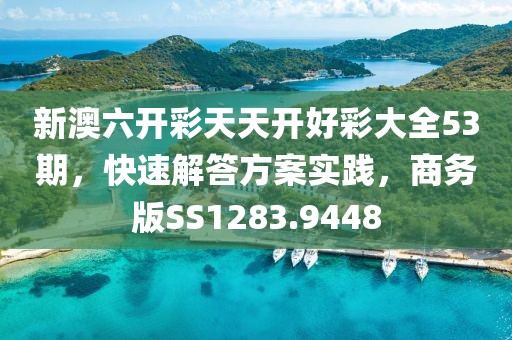 新澳六开彩天天开好彩大全53期，快速解答方案实践，商务版SS1283.9448