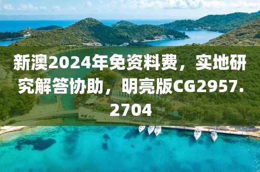 新澳2024年免资料费，实地研究解答协助，明亮版CG2957.2704