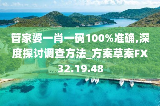 管家婆一肖一码100%准确,深度探讨调查方法_方案草案FX32.19.48
