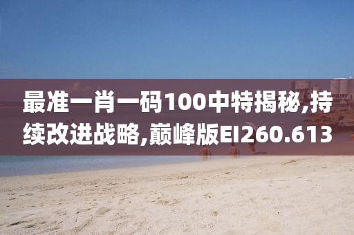 最准一肖一码100中特揭秘,持续改进战略,巅峰版EI260.613