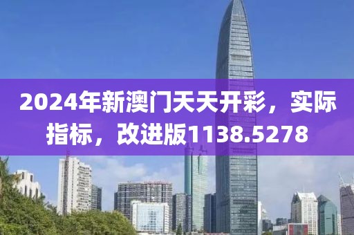 2024年新澳门天天开彩，实际指标，改进版1138.5278