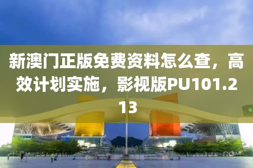 新澳门正版免费资料怎么查，高效计划实施，影视版PU101.213