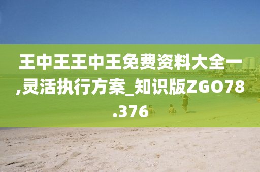 王中王王中王免费资料大全一,灵活执行方案_知识版ZGO78.376