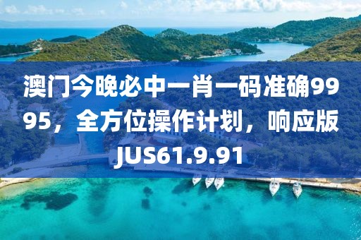 澳门今晚必中一肖一码准确9995，全方位操作计划，响应版JUS61.9.91