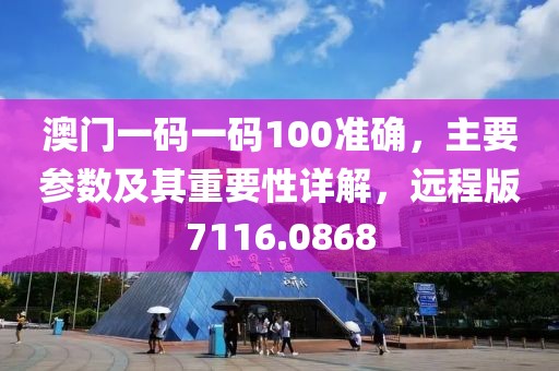澳门一码一码100准确，主要参数及其重要性详解，远程版7116.0868
