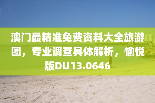 澳门最精准免费资料大全旅游团，专业调查具体解析，愉悦版DU13.0646