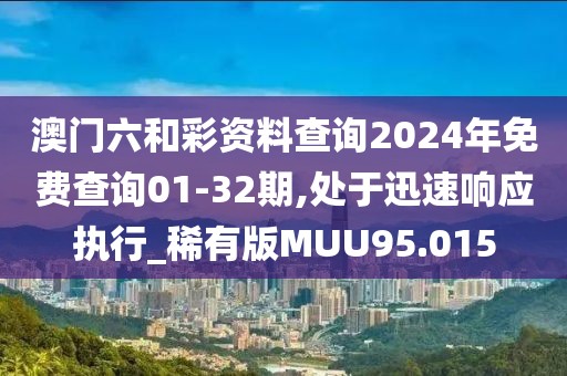 澳门六和彩资料查询2024年免费查询01-32期,处于迅速响应执行_稀有版MUU95.015