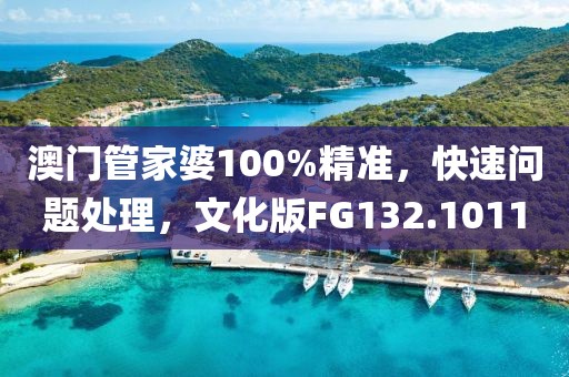 澳门管家婆100%精准，快速问题处理，文化版FG132.1011