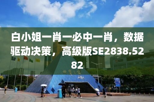 白小姐一肖一必中一肖，数据驱动决策，高级版SE2838.5282
